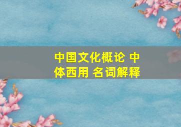 中国文化概论 中体西用 名词解释